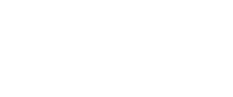 Bodiax logo